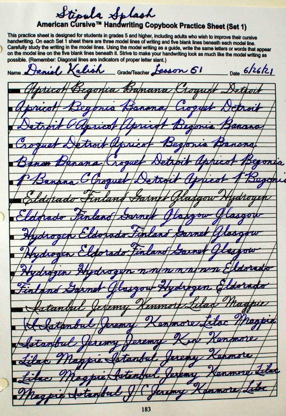 Best Palmer Method Workbook Handwriting Handwriting Improvement The Fountain Pen Network