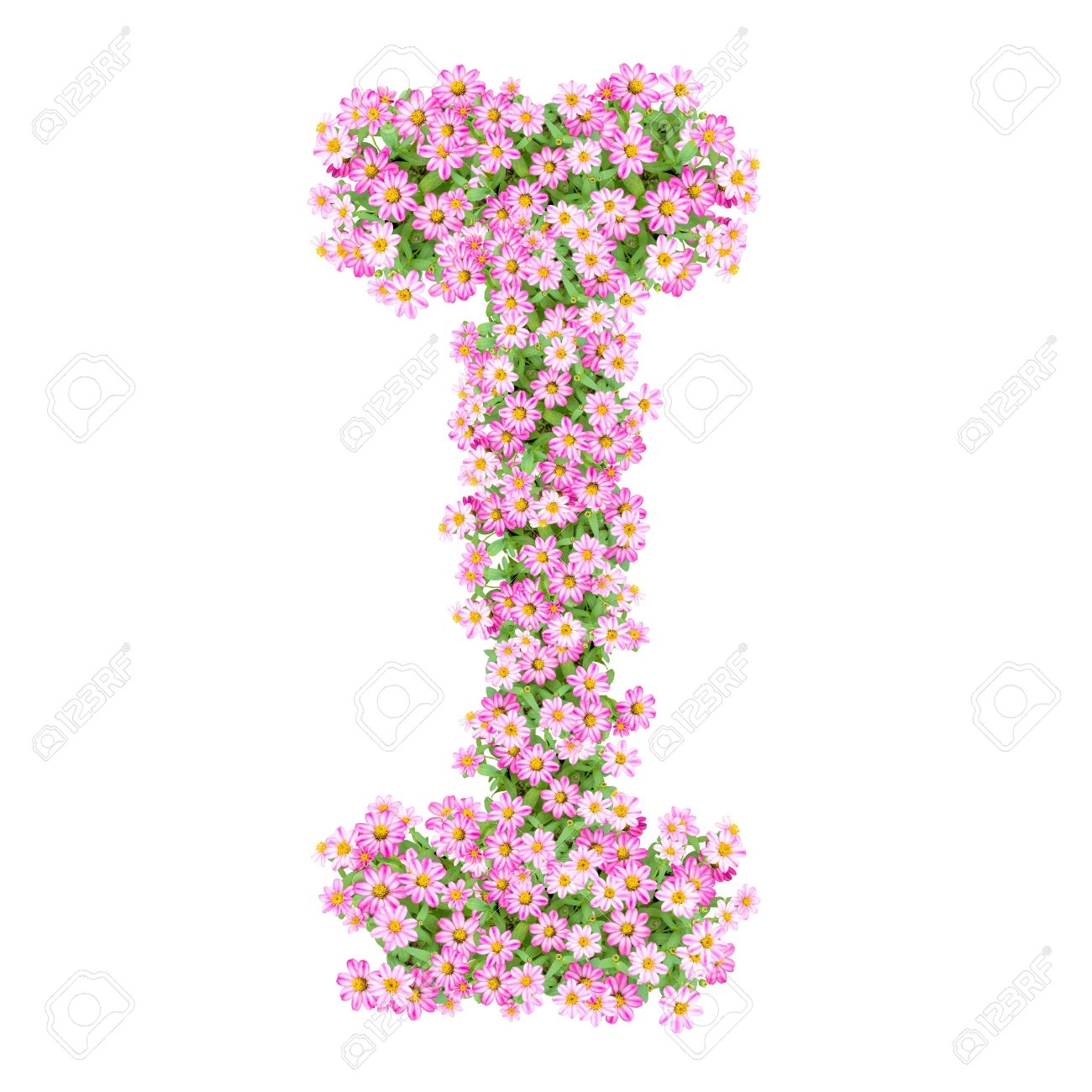 Letter I Alphabet With Zinnia Flower ABC Concept Type As Logo Typography Design Stock Photo Picture And Royalty Free Image Image 40321059 