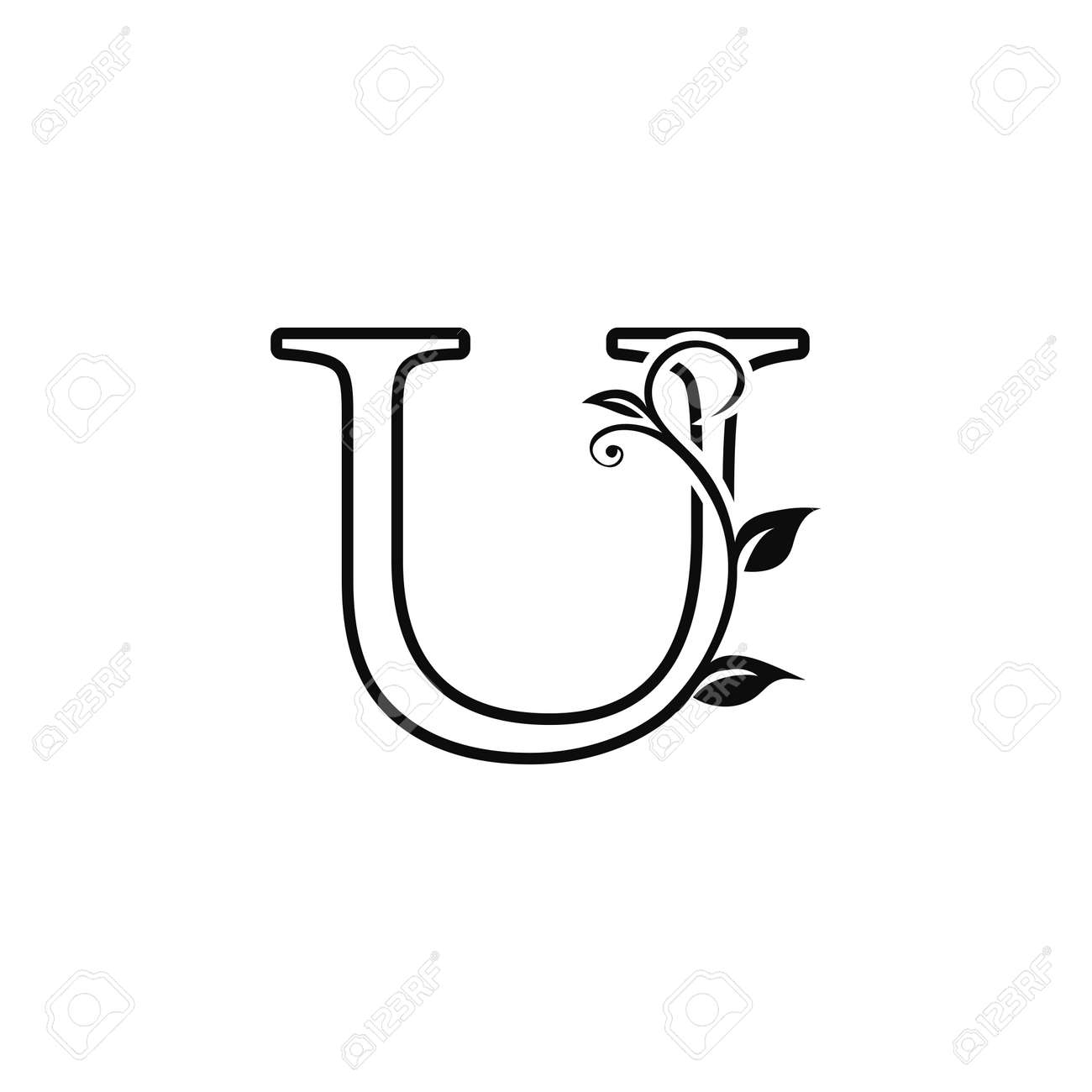 Outline Deco Floral Letter U Icon Luxury Alphabet Font For Initial Vector Design Royalty Free SVG Cliparts Vectors And Stock Illustration Image 148172896 