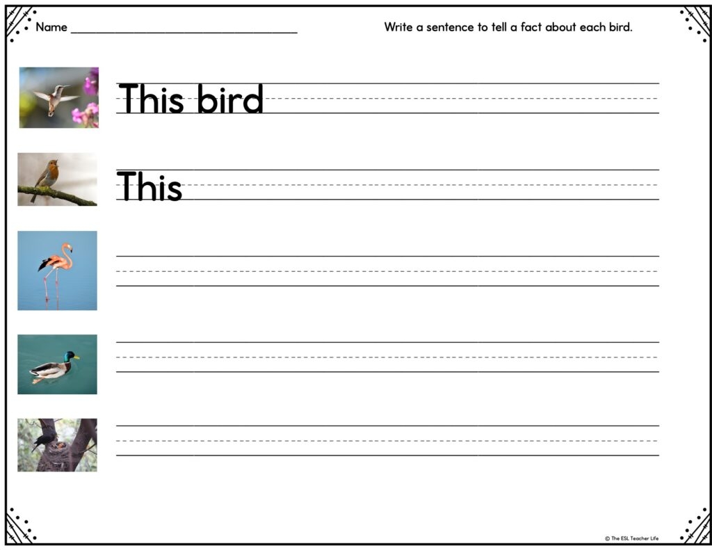 esl handwriting worksheets